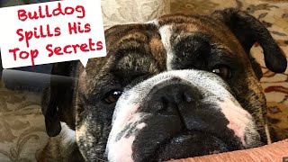 Bulldog spills his Top 5 secrets. #RockyTheBulldog-Feb14 by RockyTheBulldog 451 views 5 months ago 2 minutes, 37 seconds