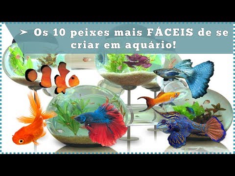 Vídeo: 10 Melhores peixes tropicais para iniciantes