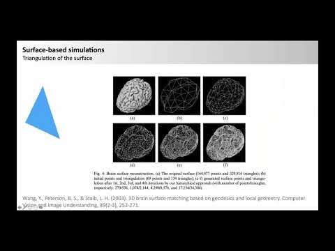 Personalized multi-scale brain