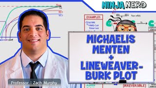 Biochemistry | Michaelis Menten & LineweaverBurk Plot