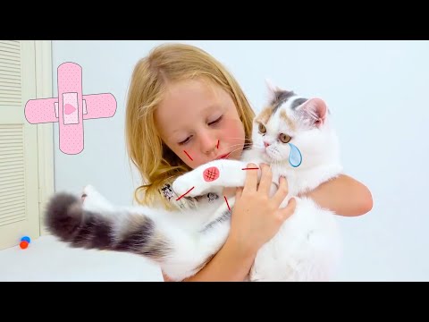 Video: Libros Infantiles Sobre Gatos Y Gatos