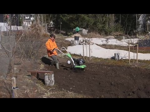 Video: Mitä on suorakylvö: Opi kuinka ja milloin kylvää siemeniä ulkona