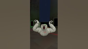 The Polar Bear HAS RETURNED!!