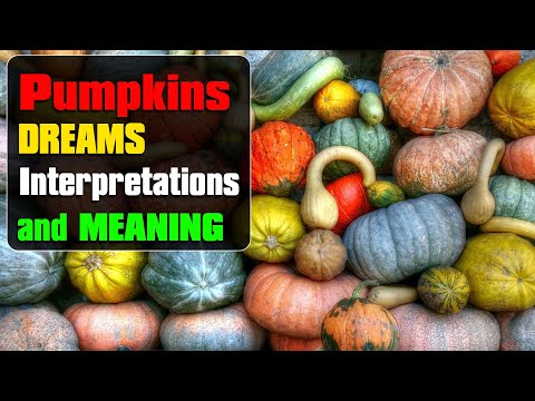 Video: Why Is The Pumpkin Dreaming