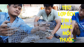 Tập 103 | Test Lợp Ếch 3 in 1 Bằng Mồi Thuốc và Cái Kết #lớpếch #mồithuốcếch