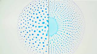 Marangoni Bursting: Evaporation-Induced Emulsification of a Two-Component Droplet