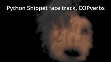 Houdini 21 face track  w Live Video COP, Python Snippet COP, COPverbs, 🔥source for flame COP