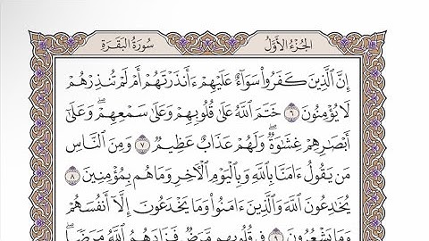 صفحة ٣ من القرآن الكريم مكررة ٣ مرات - الشيخ عبدالرشيد صوفي