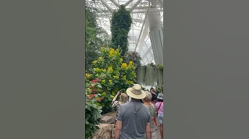 Butterfly Garden 🦋🦋#niagara #canada #foryou #foryoupage