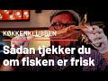 Sådan tjekker du at fisk er frisk på under et minut! TV-kokken Claus Holms bedste tip om frisk fisk.