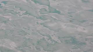 Футаж  Рябь и блики на воде 49  Footage Ripples and reflections on the water 49