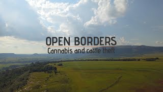 Open Borders: Cannabis and cattle theft | Documentary