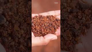 The Industry Is Worth Over 167 Million, And Most Of It Is From .