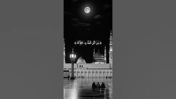 اكتب شيء تؤجر عليه 😴🩶 | قران كريم | فارس عباد