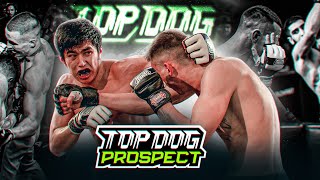 TOP DOG: PROSPECT 3