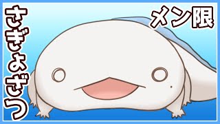 【メン限】【#作業雑談】さぎょざつ！【両生類系人外VTuber/半崎ウイネコ】【FREE TALK】