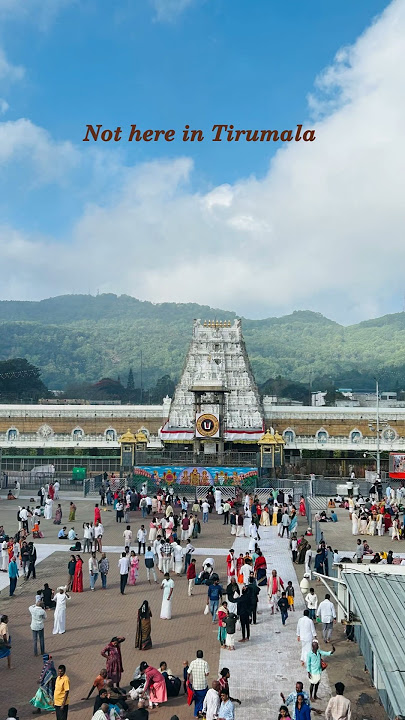 Tirumala Balaji Darshan 🛕 | Divine Vibes at Tirupati Temple #tirupati #shorts #viral #temple #status
