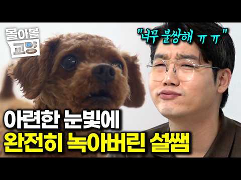 "Why is my owner pushing me away..?" Trainer Sul feels heartbroken by the confused look in the pu...