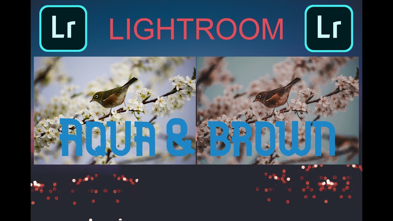 How to edit Aqua and Brown Preset | Lightroom Mobile Preset Tutorial Free | Free Lightroom Preset