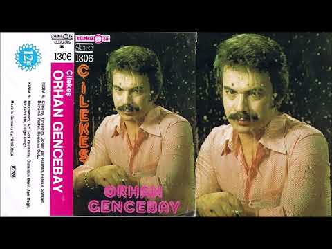 Orhan Gencebay - Meyhaneci (Türküola 1306) (1979)