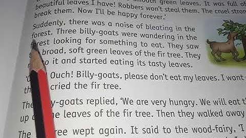 English Literature Lesson- 11 The Discontented Fir Tree (Part-2)