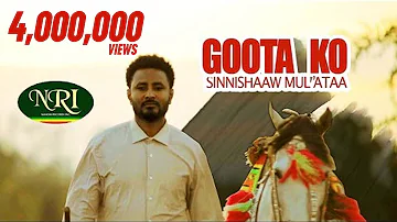Sinishaw Muleta - Goota Koo - ስንሻው ሙለታ - ጎተ ኮ - New Ethiopian Oromogna Music 2020 (Official Video)