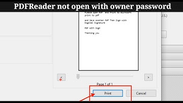 PDFReader not open with owner password