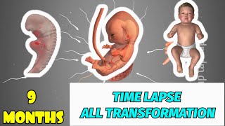9 MONTHS : ALL TRANSFORMATION IN TIME LAPSE screenshot 5