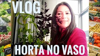 Vlog- Conheci outra feira incrível em Viana do Castelo e Montei uma horta