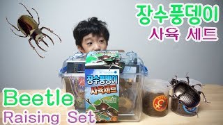 Beetle Raising set! What kind of things are in the beetle Raising set?