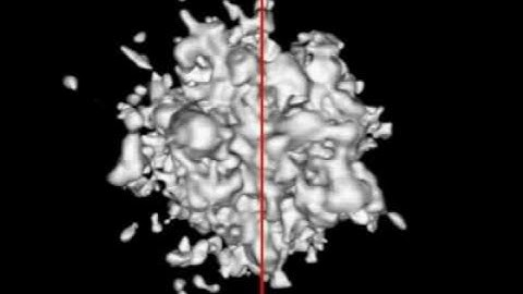 Hypertextured implicit surface III (Manuel Gamito)