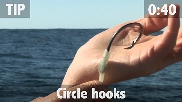 CIRCLE HOOKS