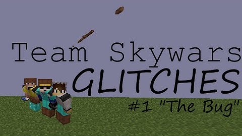 Minecraft Central Glitches #1 - The Bug