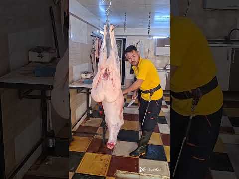 ذبح ۴ راس بره نر