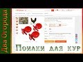 Поилки для кур/ Жизнь в деревне