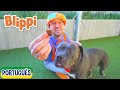 BLIPPI Visita um Abrigo de Animais! | Vídeos Educativos | Blippi em Português!