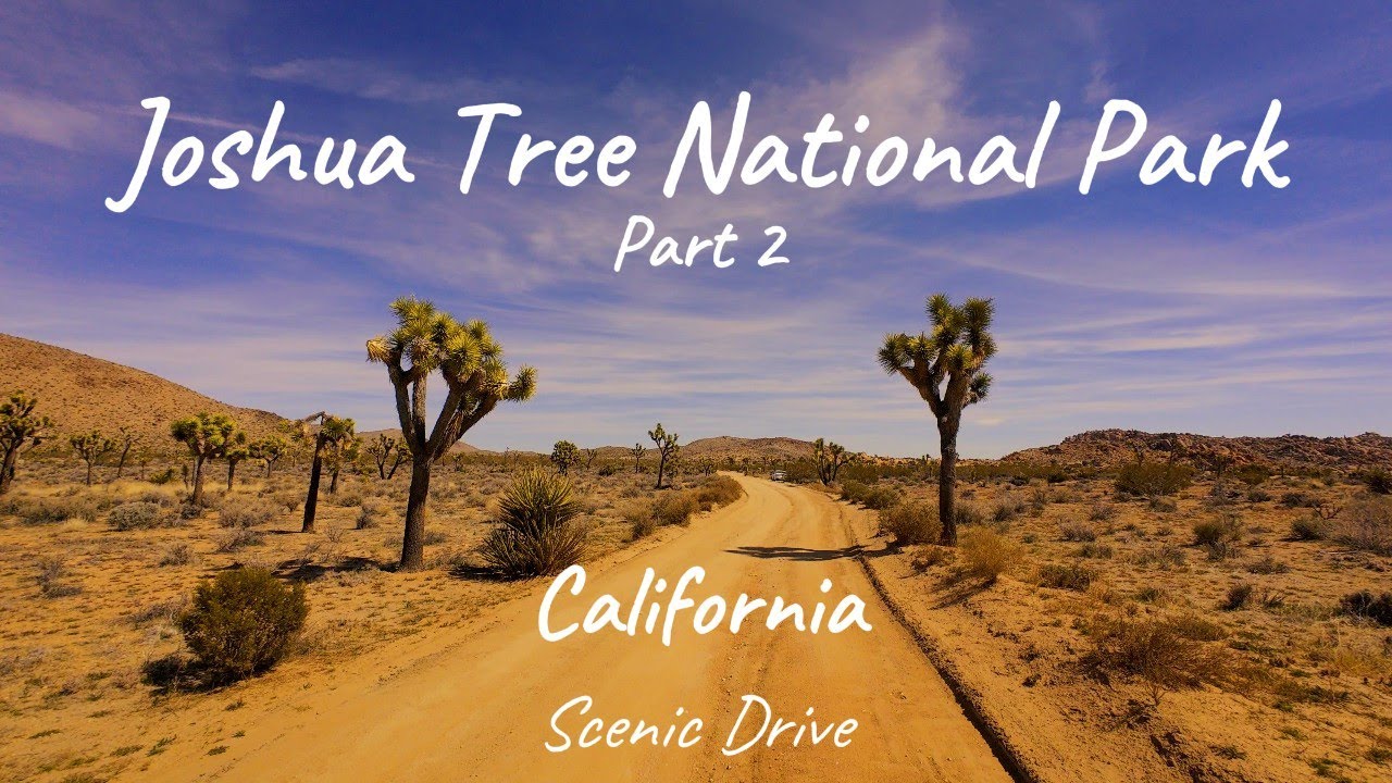 Scenic Drive - Joshua Tree, through the desert, Part 2