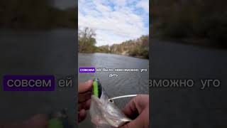 Лучше день на не результативной рыбалке, чем дома #fishing #рыбалка