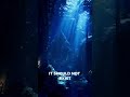 They Found a City Underwater… It Shouldn’t Exist#ancientcivilizations #history #mystery