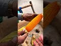 Professional Chef Reveals Sand-Cooked Corn Secret #cooking #food #shorts