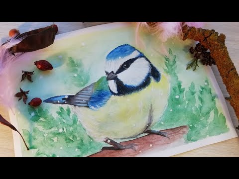 Video: How To Draw A Titmouse