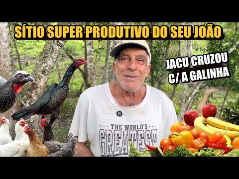 O SÍTIO AUTOSSUFICIENTE