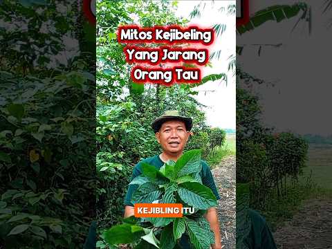 Cek ke ahlinya sebelum konsumsi #herbal #herbalife #education #educational #fyp #kejibeling