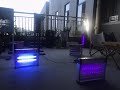 what does bug zapper light look like between LED light and fluorescent light?