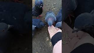 Живая природа