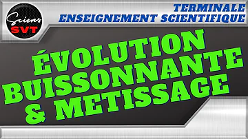 Pourquoi Dit-on que l'évolution humaine est buissonnante ?