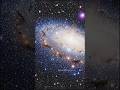 “Earth Has More Trees Than Stars in the Milky Way!” #shorts #earthsfuture