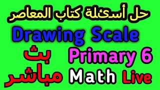 شرح وحل كتاب المعاصر ماث primary 6 drawing Scale math