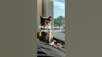 Thumbnail of Will ye go Lassie go? (Acoustic cover) #sinners #wildmountainthyme #irishfolkmusic #cover #ukelele