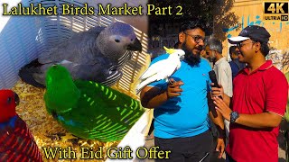 Lalukhet Birds Market Part 2 Karachi Unique and Rare Birds 742024 _ लालूखेत पक्षी बाज़ार कराची